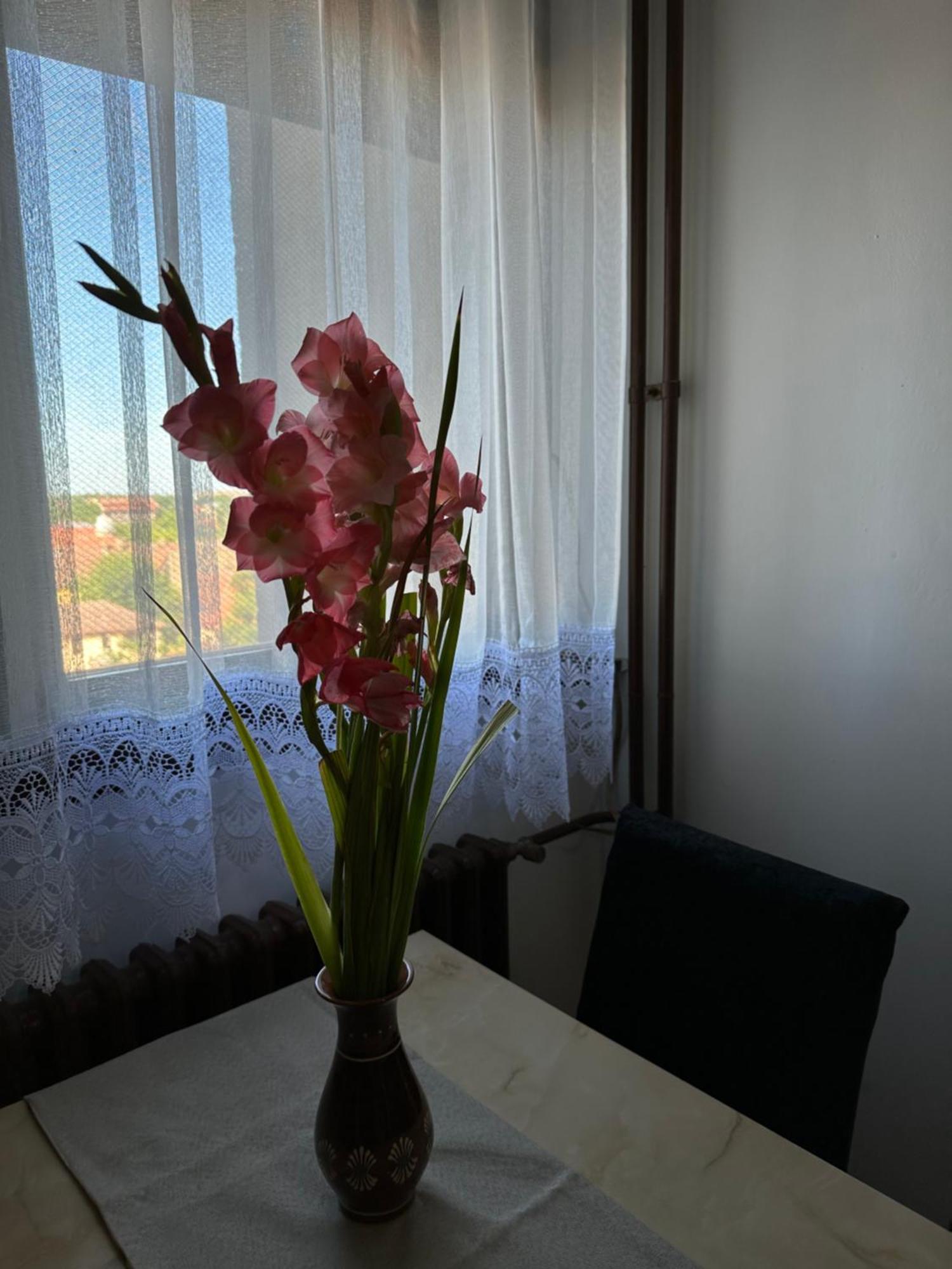 Tamaris Apartment Subotica Extérieur photo